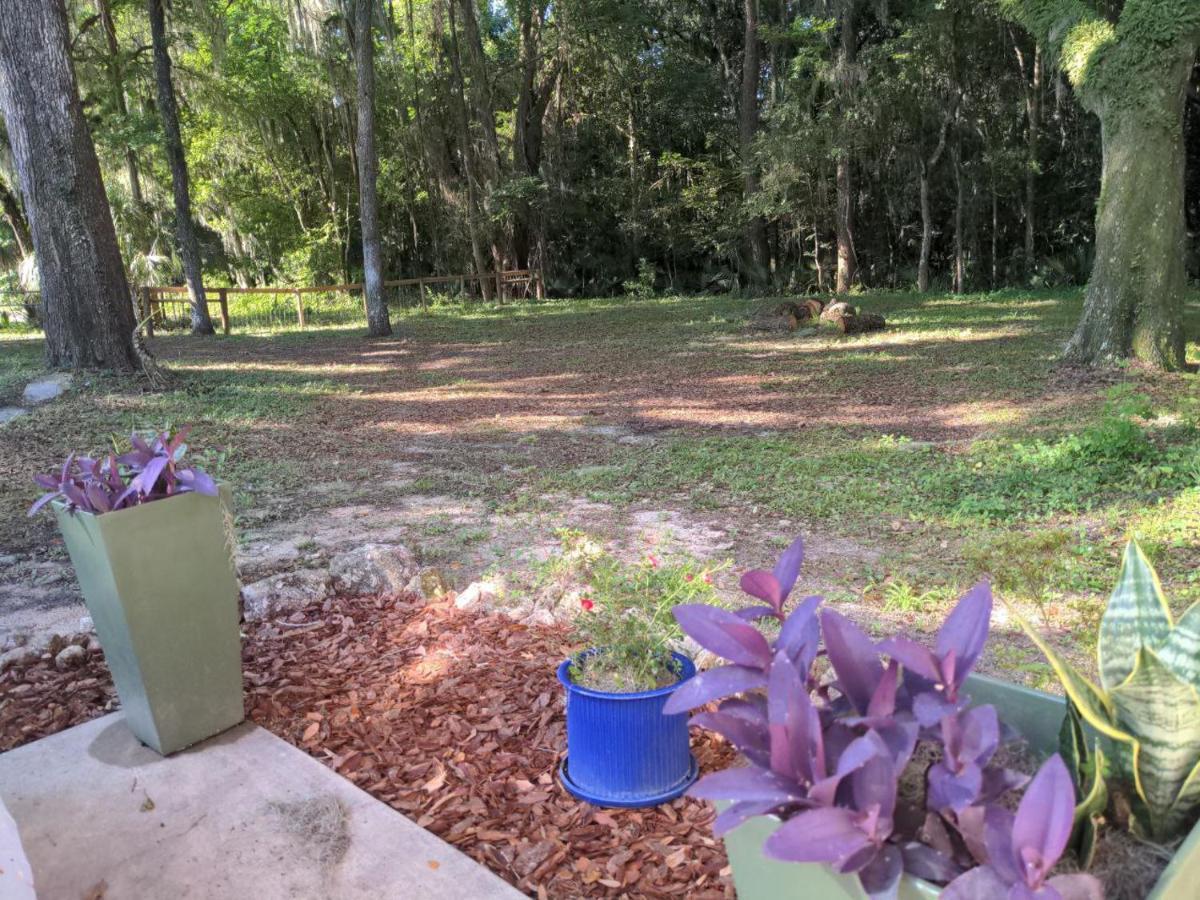 Micanopy Countyline Cottages מראה חיצוני תמונה