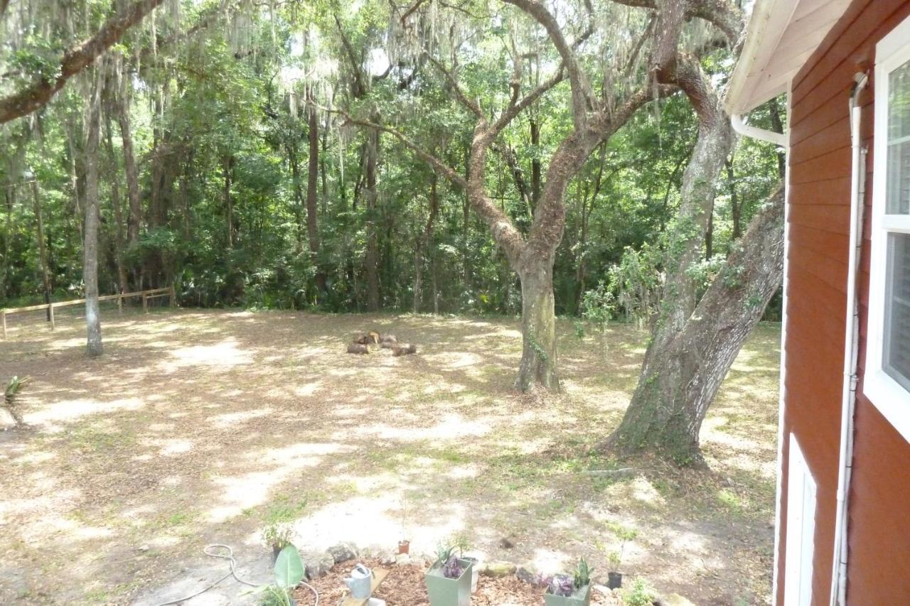 Micanopy Countyline Cottages מראה חיצוני תמונה